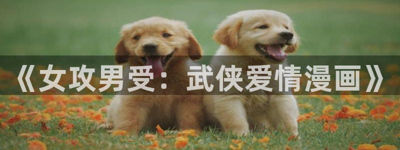 虫虫漫画内特第5集：《女攻男受：武侠爱情漫画》